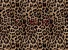 Tim Duzit – Kat Slater (Native Remedies Remix)
