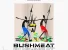 Bushmeat by Shatta Wale