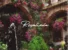 Joey B – ROSALINDA