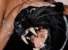 VYB W ME by Twitch 4EVA