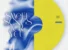 Meet 4 Corner by Lasmid ft. Tml Vibez