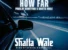 How Far by Shatta Wale