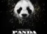 Panda by Desiigner
