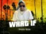 What If (Symphony Riddim) Lyrics by Shatta Wale